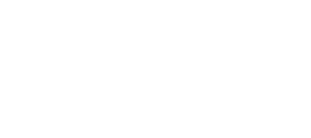 Logo PTSV Jahn Freiburg Floorball