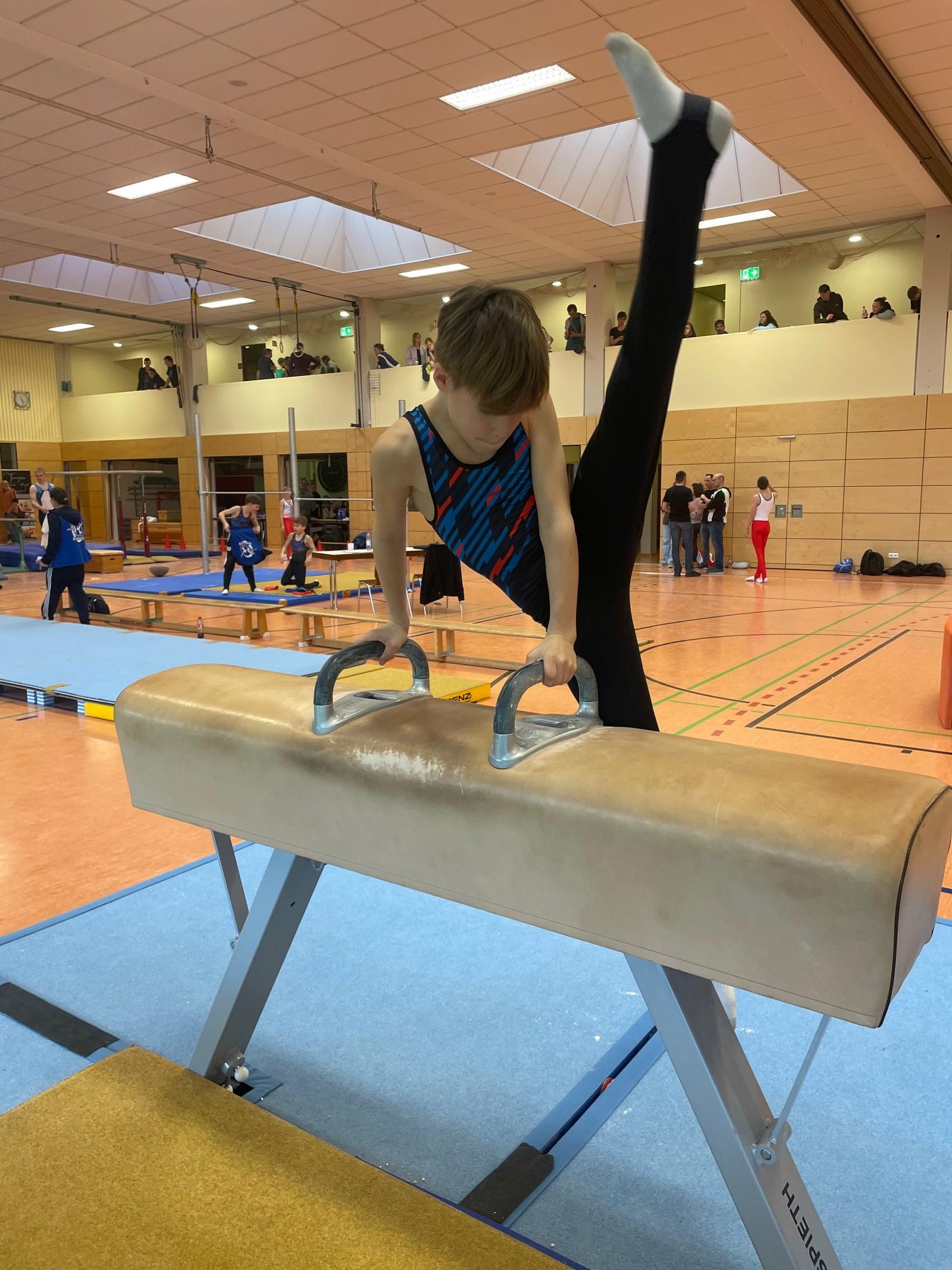 PTSV-Turner erfolgreich am Pferd