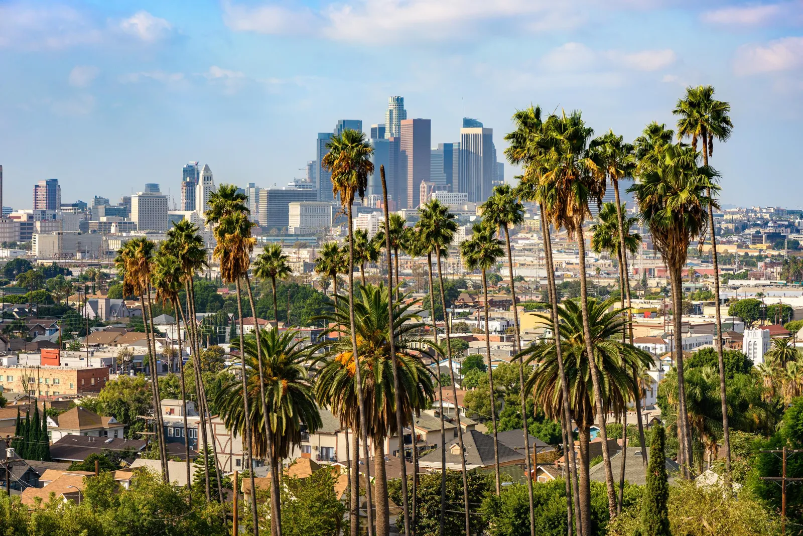 LA